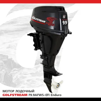 F9.9AFWS-EFI enduro