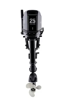 T25