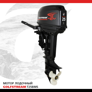 Мотор лодочный GOLFSTREAM T25BMS