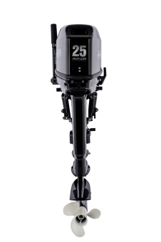 T25